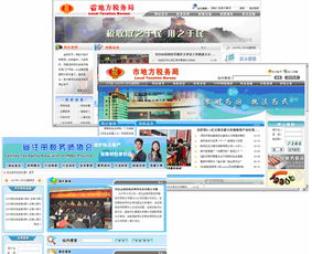 地方稅務局互聯網網站軟件開發及系統集成的網絡與信息安全軟件開發實踐