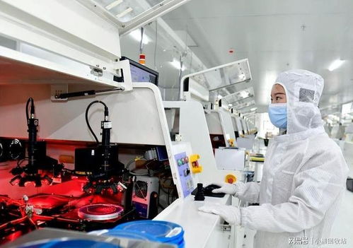 荷蘭光刻機巨頭急了 封鎖中國只會先餓死西方企業